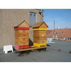 Včely ve městě aneb jak začít včelařit třeba na střeše