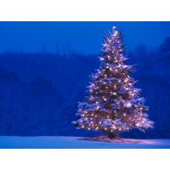 Rozsvícení vánočního stromu 2017
