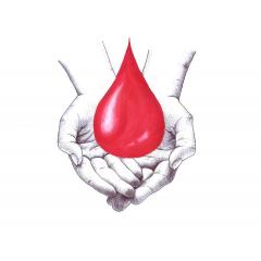 Listopadové darování krve