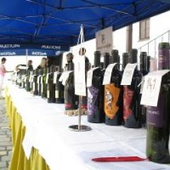 Festival vína