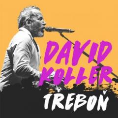 David Koller - Acoustic Tour 2018