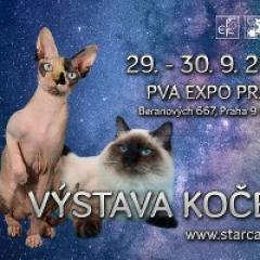 Star Cats 2018