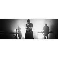 Cold Cave (US)