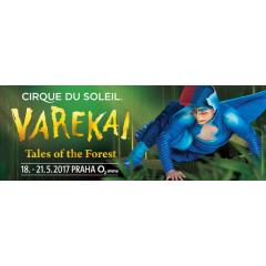 Varekai - Cirque du Soleil