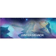 Winter Meandr