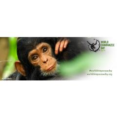Světový den šimpanzů