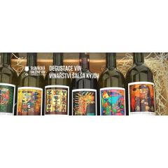 Degustace vín - Vinařství Šalša Kyjov