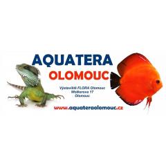 Aquatera Olomouc 2017