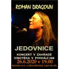 Koncert Romana Dragouna