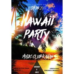 Hawaii party / DJ Bady