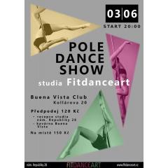 Pole Dance Show Fitdanceart