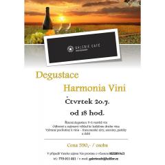 Degustace Harmonia Vini