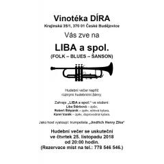 LIBA - samostatný koncert zpěvačky ze skupiny Tak či Tak.
