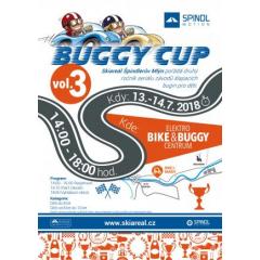 Buggy Cup 2018