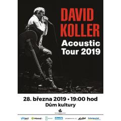 David Koller Acoustic Tour 2019