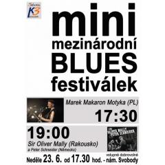 Mini mezinárodní blues festival 2019