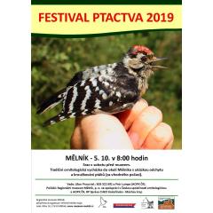 Festival ptactva 2019