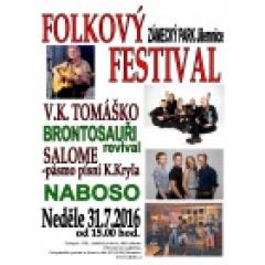 Folkový festival