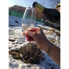 Jarní ochutnávka autentických vín z našeho vinohradu