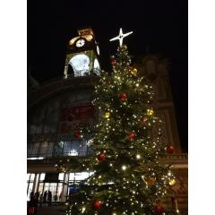 Rozsvícení vánočního stromu na Výstavišti Praha 2019