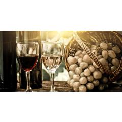 Degustace Vín s odborným výkladem a občerstvením