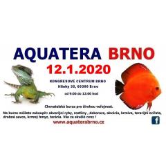 Aquatera Brno 2020