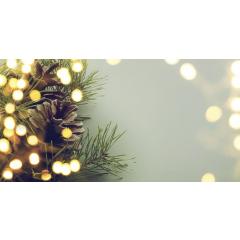 Rozsvícení vánočního stromu v Dyjské vsi