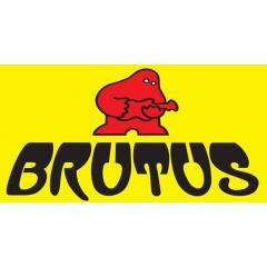 Brutus - Předvánoční koncert