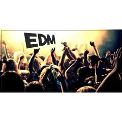 EDM night - DJ Richie