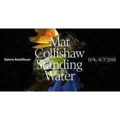 Vernisáž Mat Collishaw. Standing Water