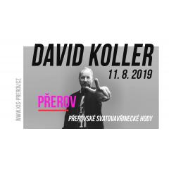 David Koller - Přerovské svatovavřinecké hody 2019