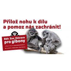 Běh Zoo Ostrava pro gibony 2019