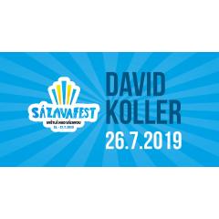 David Koller - Sázavafest 2019
