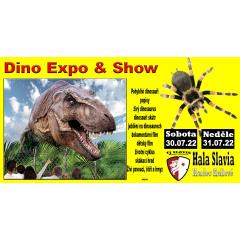DINO EXPO & SHOW & SPIDERS