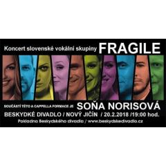 Koncert sk. Fragile v Novém Jičíně