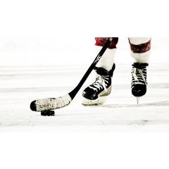Hokej: Česko - Finsko