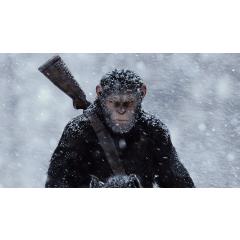 Válka o planetu opic v letním kině Černá v Pošumaví (PREMIÉRA)