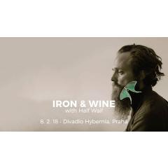 Iron & Wine (US)