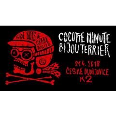 Cocotte Minute + Bijouterrier