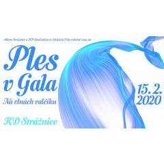 Ples v Gala 2020