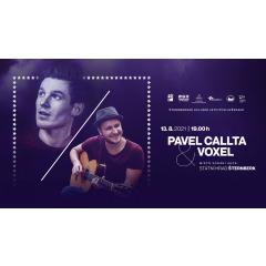 Koncert Pavel Calta & Voxel