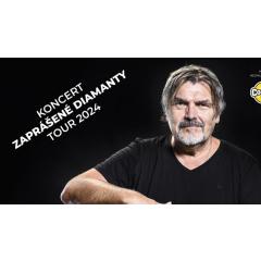 ROMAN HORKÝ 60 KAMELOT „ ZAPRÁŠENÉ DIAMANTY TOUR 2024“