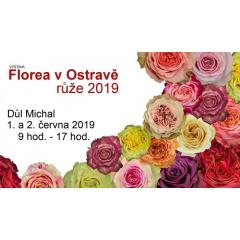 Výstava "Florea v Ostravě - růže 2019"