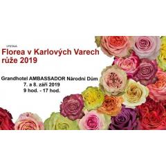 Florea v Karlových Varech - růže 2019