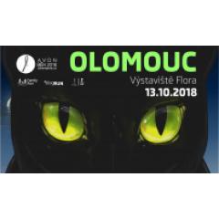 NN Night Run Olomouc 2018