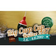 Big Carp Cup