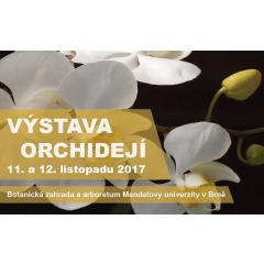 Výstava kvetoucích orchidejí 2017