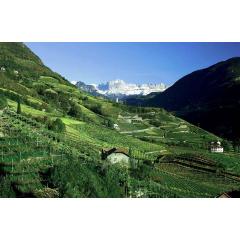 Putování italskými regiony V. - Alto-Adige
