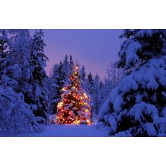 Zpívání u vánočního stromu