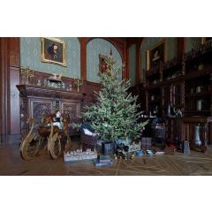 Vánoční prohlídky na zámku Sychrov